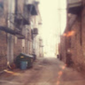 Meet your Posher, Shelby